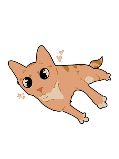 ✩₊⁺⋆☾⋆⁺₊✧