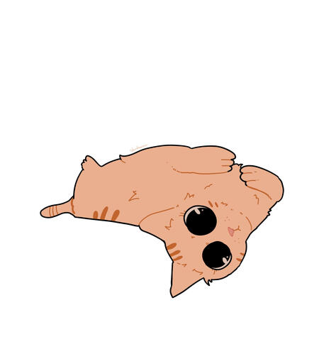 ✩₊⁺⋆☾⋆⁺₊✧