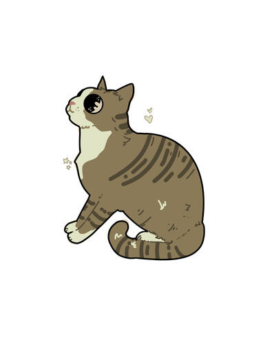 ✩₊⁺⋆☾⋆⁺₊✧